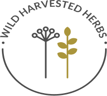 Wild Harvested Herbs